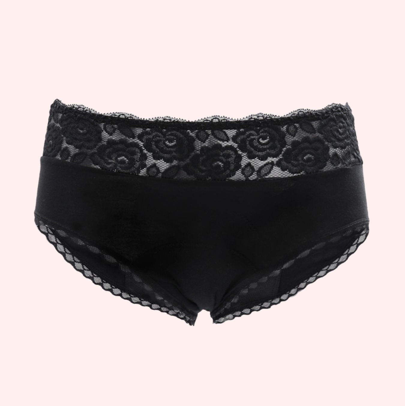Balance Lace Brief